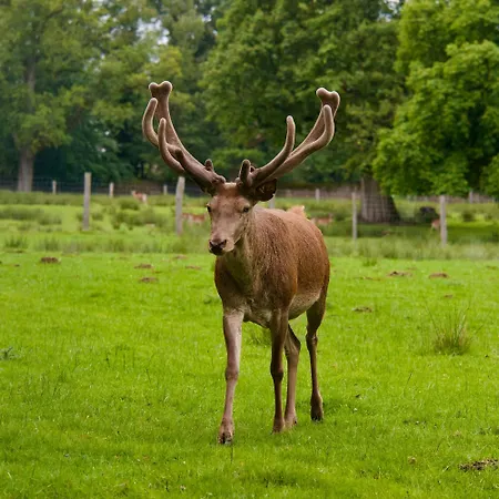 Villa Gottstreu בית נופש