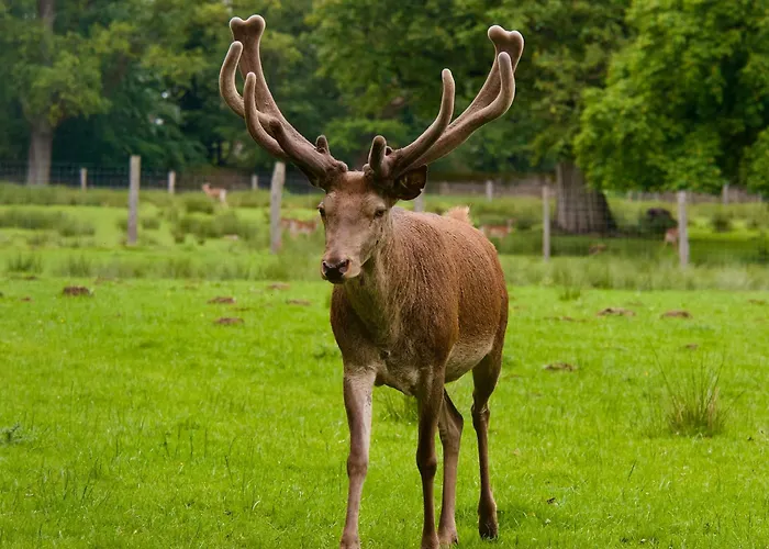Villa Gottstreu Casa vacanze
