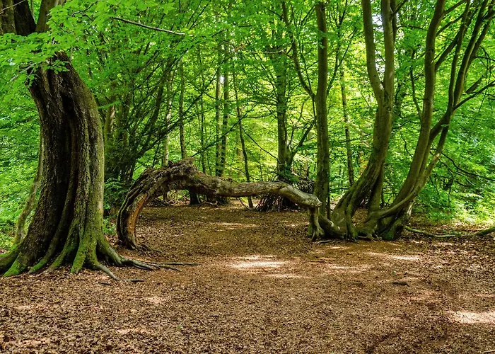 Casa vacanze Villa Gottstreu *